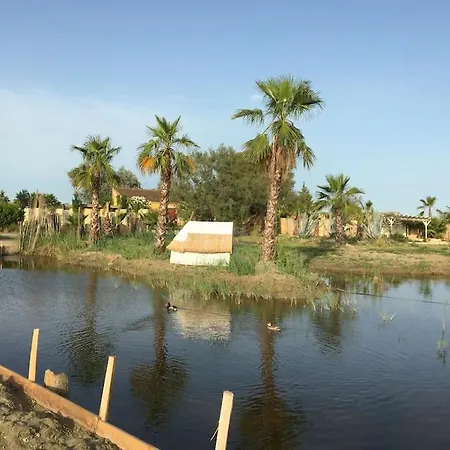 Tatil Evi Mas De L Isle Sauvage Mortes